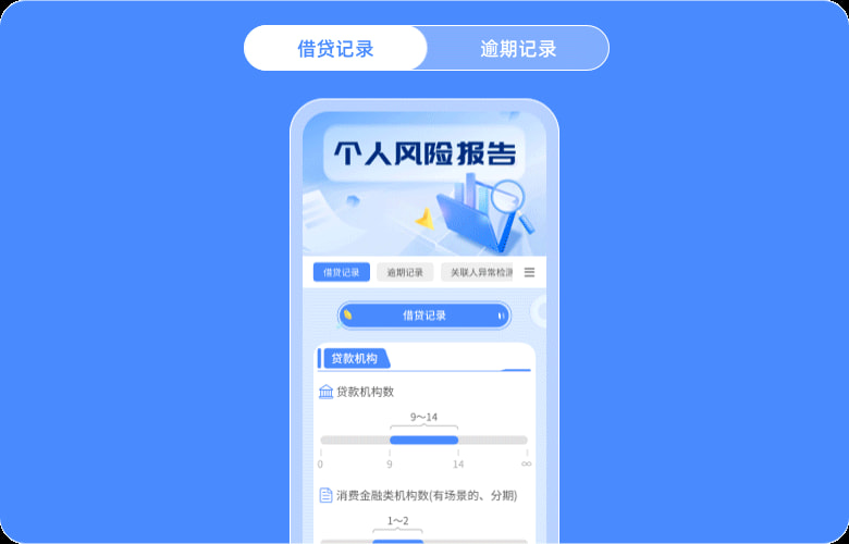 个人风险报告查询