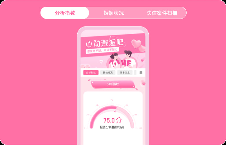 婚恋报告查询